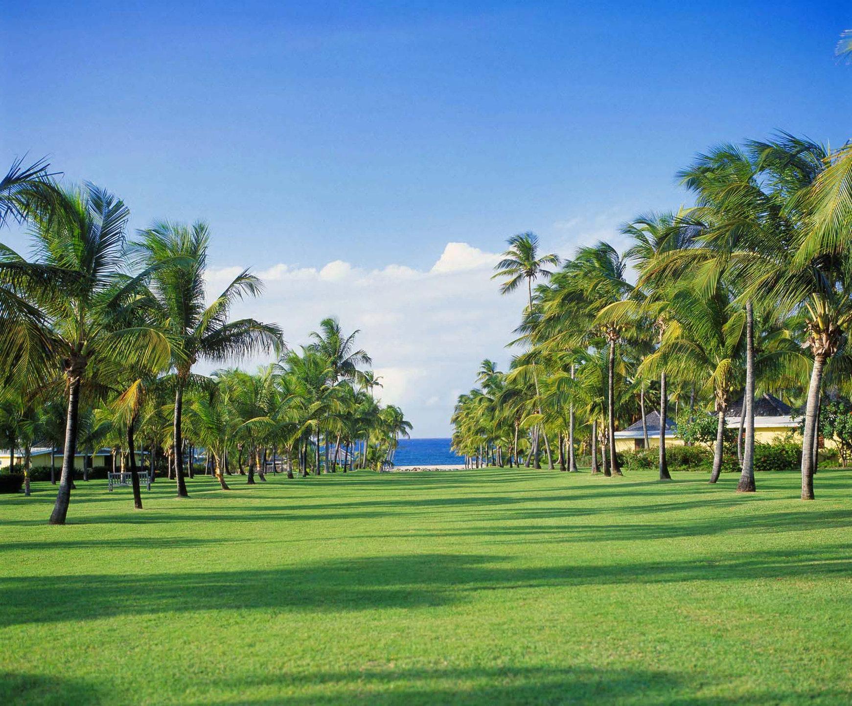 Nisbet Plantation Beach Club Newcastle Exterior photo