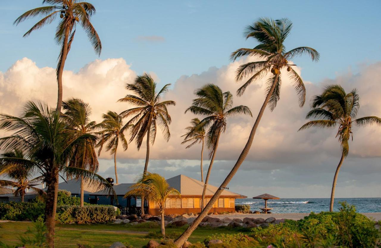 Nisbet Plantation Beach Club Newcastle Exterior photo